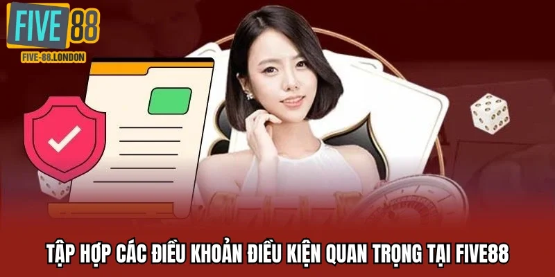 Tập hợp các điều khoản điều kiện quan trọng tại Five88